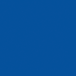 Blue Set Of 4 Shirred Buckles