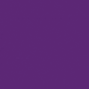 Purple Set Of 4 Shirred Buckles