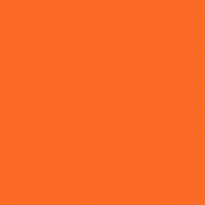 Orange Set Of 4 Shirred Buckles