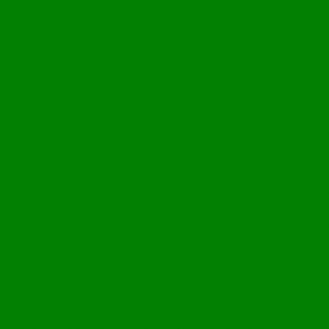 Yeşil Kemerli Pileli Pantolon